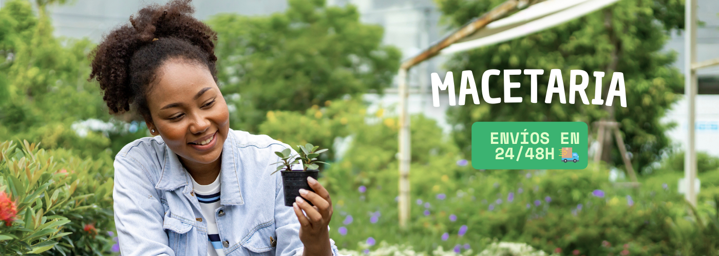 Logo de la tienda Macetaria